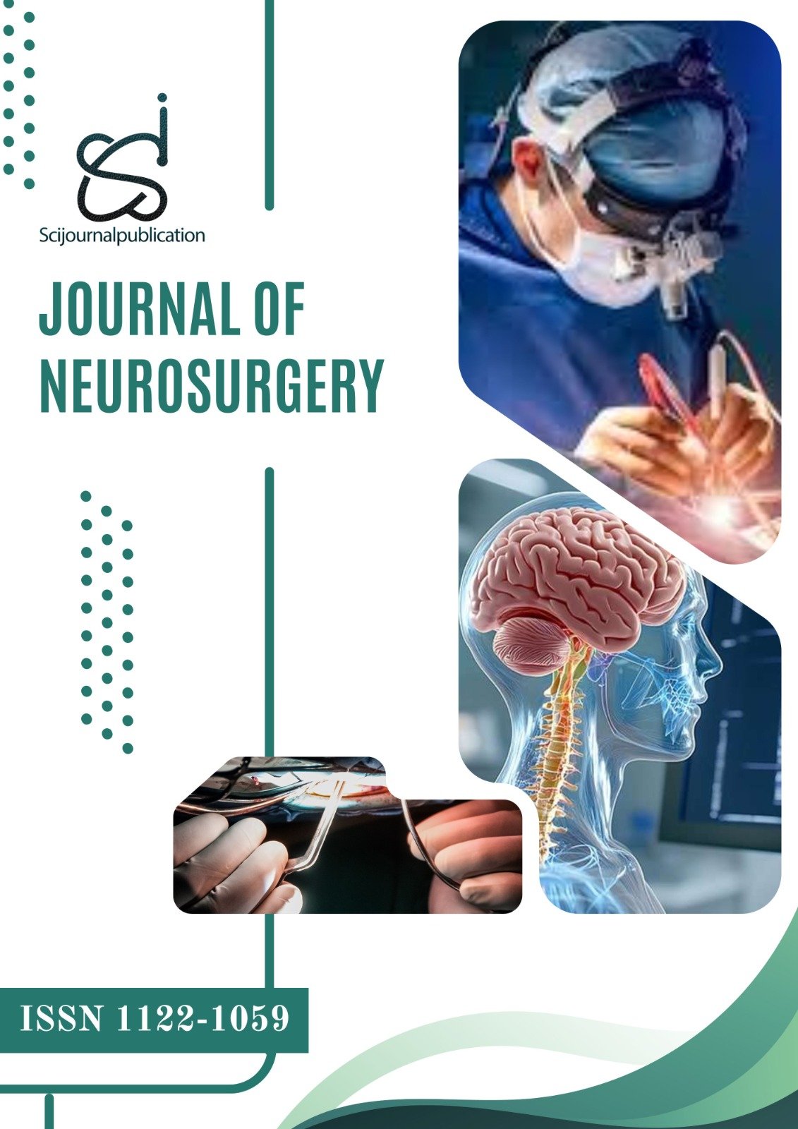 Journal of Neurosurgery